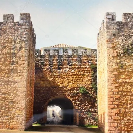 Arenga * לאגוּ‏ש