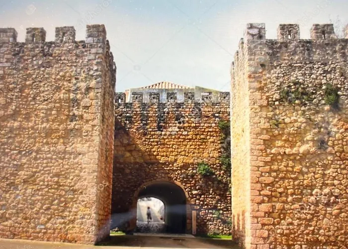 Arenga * לאגוּ‏ש