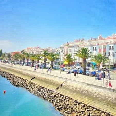 Arenga